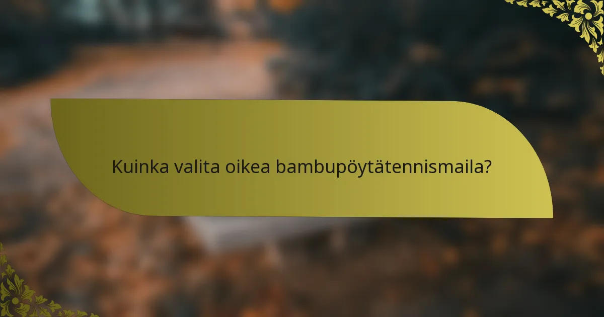 Kuinka valita oikea bambupöytätennismaila?